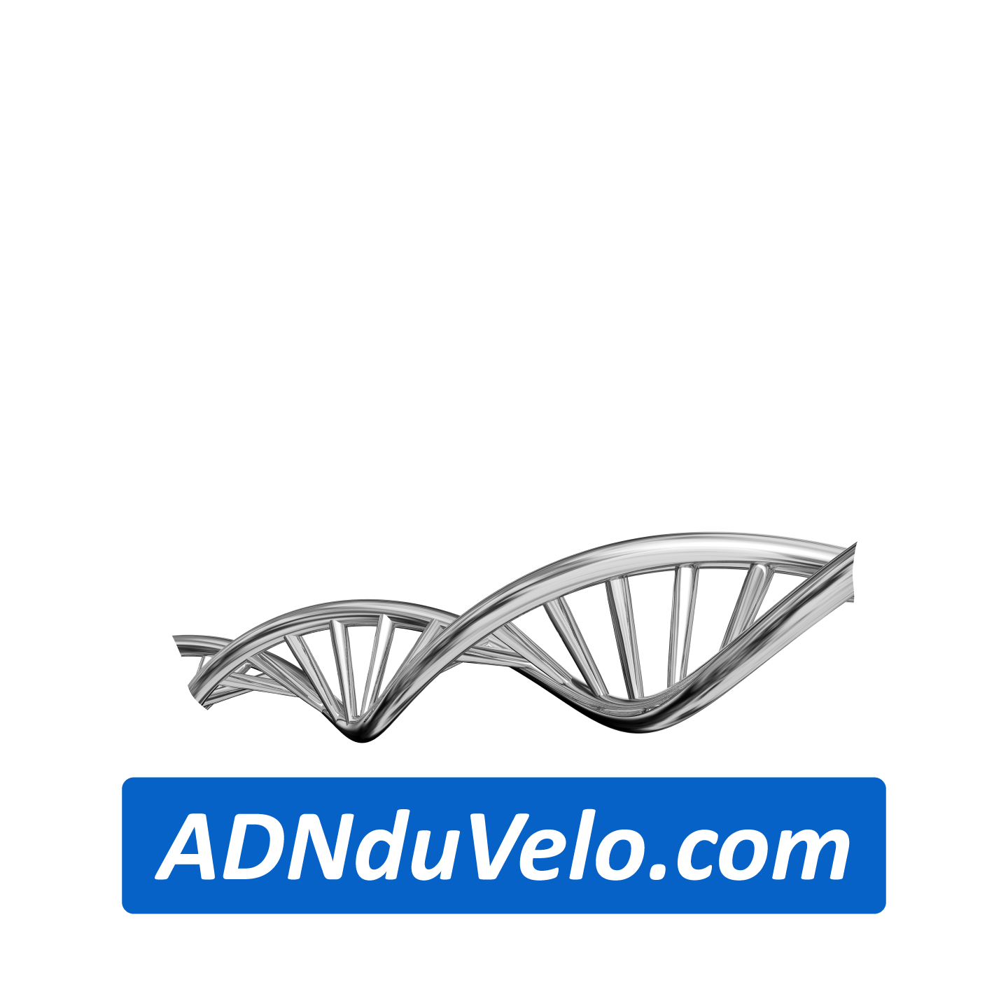 ADN du Vélo